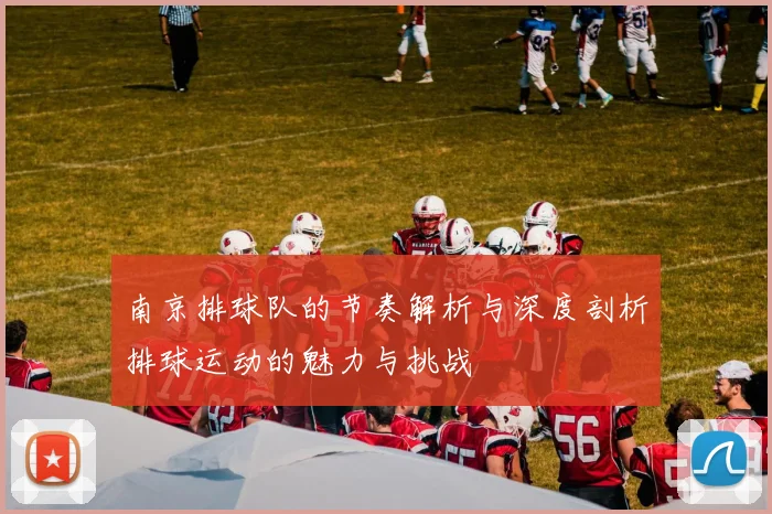 南京排球队的节奏解析与深度剖析排球运动的魅力与挑战